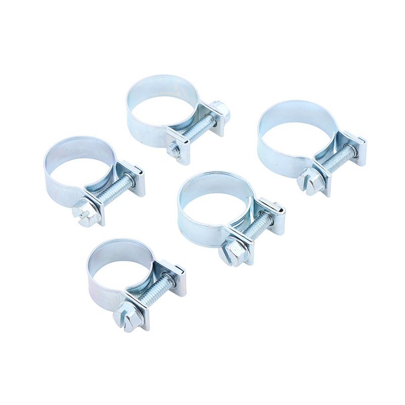 Jubilee Hose Clips 10Pcs Set f - Hose Clamp Assorted ulasan dan harga